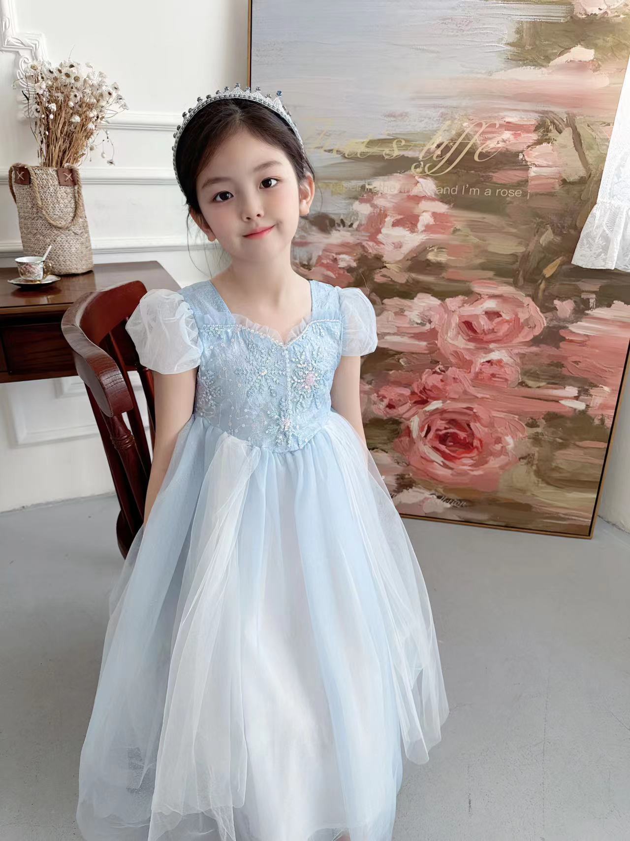 Embroidered Elsa Girls Dress f - Baby Clothing Dresser ulasan dan harga