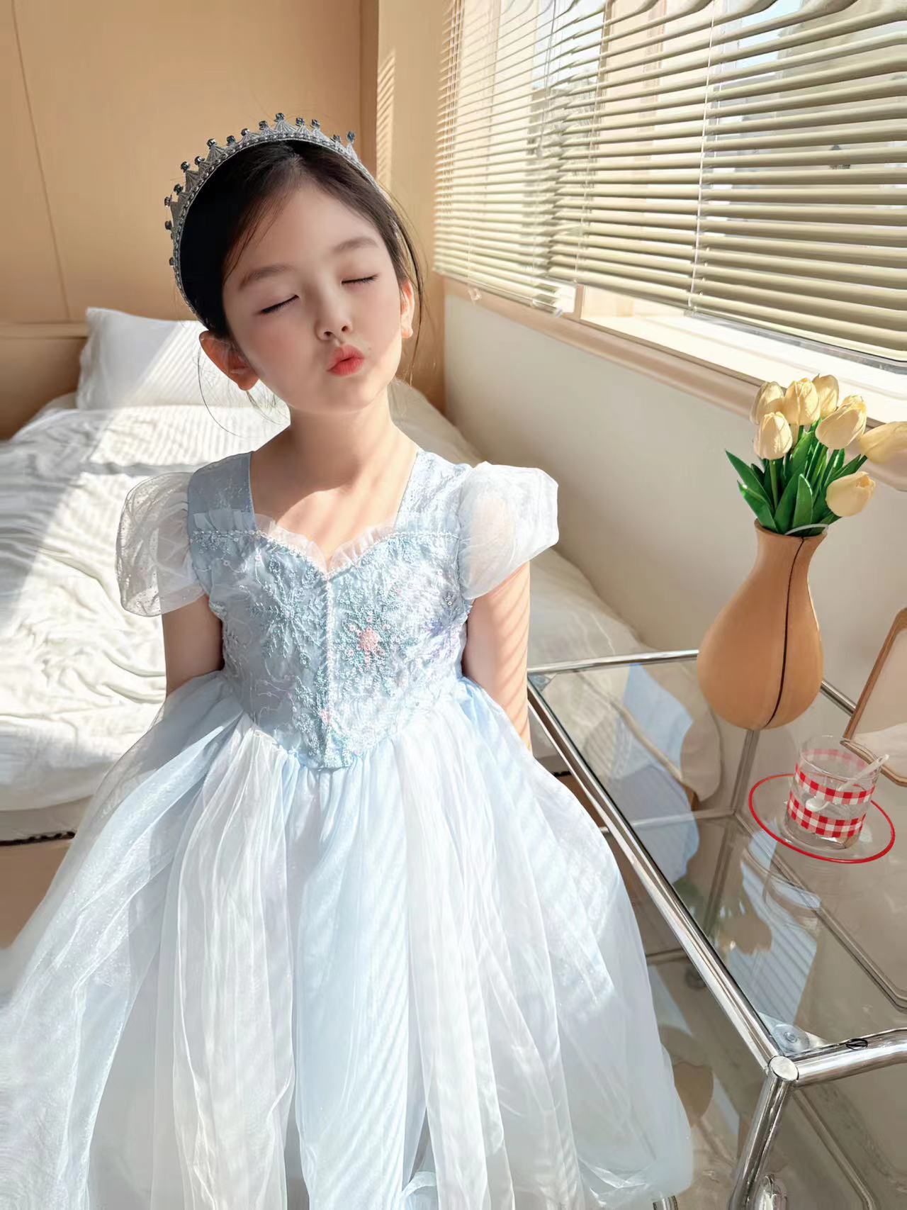 Embroidered Elsa Girls Dress f - Baby Clothing Dresser ulasan dan harga