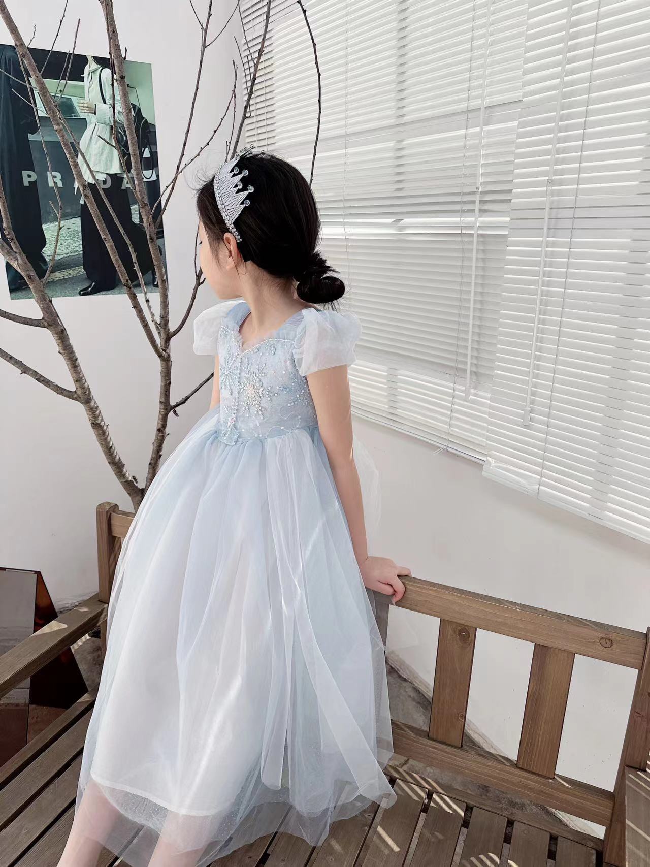 Embroidered Elsa Girls Dress f - Baby Clothing Dresser ulasan dan harga
